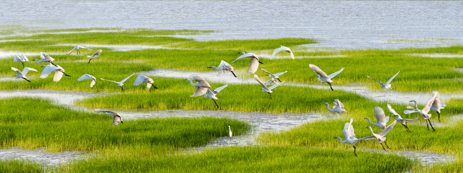生態優先、綠色發展